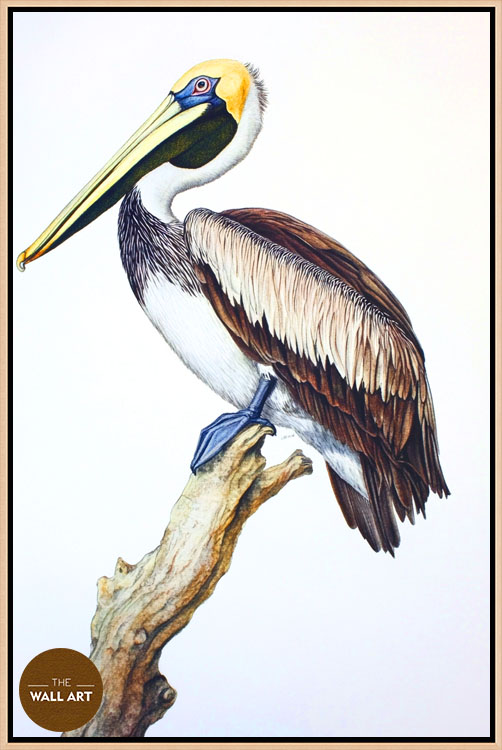 images/products/pelican_on_branch/pelican_on branch_OAK.jpg